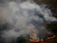 Зеленський має не ховати голову в пісок, а негайно скликати РНБО через екологічну катастрофу, спричинену пожежами довкола столиці – Ар’єв