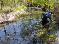 У Києві на Дарниці розчистили від жахливого сміття водну артерію   [Фото]