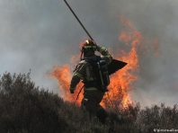 У Нідерландах почалася масштабна лісова пожежа