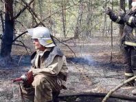 Рятувальники збили хвилю пожеж під Чорнобилем