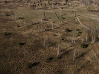 Пожежі в Чорнобильській зоні: на території лісництв горять торфовища