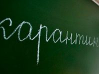 Вихід з карантину вже почався і влада вже не може цього зупинити – депутат