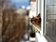 Метеорологи назвали березень одним з найтепліших за весь час спостережень