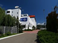 Київське “Динамо” анонсувало відновлення командних тренувань