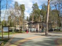 Вночі вандали спаплюжили парк у Пущі-Водиці [Вiдео]