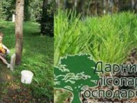 У столиці створять нові пам’ятки природи