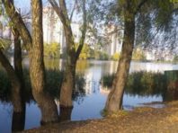 На Дарниці навколо озера створять парк