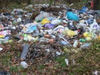 Підприємство вивозило небезпечні відходи зі столичних лікарень на стихійні звалища