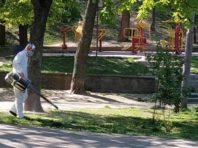Чотири столичні парки захистили від кліщів