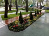 Стало відомо, який новий парк відкриють до Дня Києва [Фото]