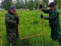 У Святошинському районі прибрали рекламу із зеленої зони