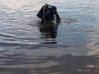 У Києві з озера водолази дістали потопельника