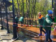 У столиці оновлюють Алею художників [Фото]