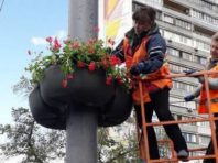 У Святошинському районі висадили квіти «на фоні неба»