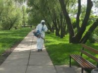 Киян закликають не гуляти парком «Муромець» та біля озера на Троєщині