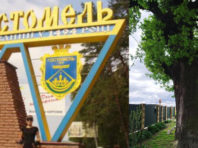 На Київщині виявили 400-річний дуб