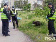 Штрафи за собак: як кияни реагують на дії поліції