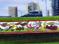 Дніпровським районом попливли риби з квітів