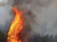 Столицю починають посилено захищати від пожеж