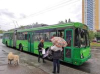У транспорті Києва не всі носять маски і порушують правила