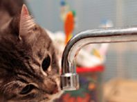 На 6 вулицях Києва вимкнули воду