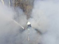 На Трухановому острові згоріла трава