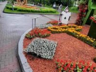 У Києві вандали понівечили казкову виставку квітів [Фото]