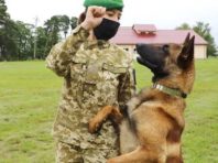Прикордонники показали милих новобранців, які будуть шукати зброю і наркотики [Фото]