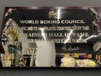 WBC нагородила Зал слави українського боксу