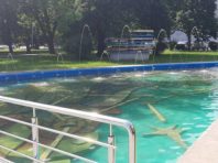 На Печерську запрацював водограй із цінними мозаїками [Фото]
