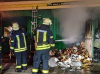 На Позняках загинула жінка через пожежу в овочевому павільйоні