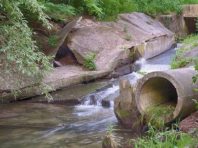 У парку «Сирецький Гай» від сміття і уламків почистять струмок