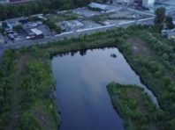 У Київраді хочуть викупити озеро у вигляді кота