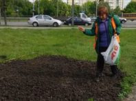 Квіти замість рекламних конструкцій, як змінюється Святошин
