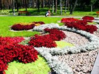 У Києві створять 5 нових скверів на лівому березі