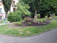 Як створити сквер у столиці: інструкція