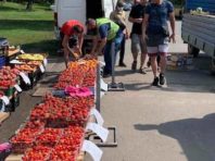 Продавців полуниці розігнали у Дарницькому районі [Фото]