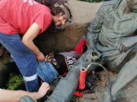 Столичний кіт застряг у пам’ятнику воїнам