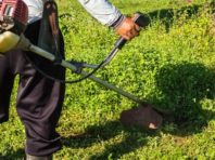 У Київраді пояснили, чому в Києві потрібно косити траву