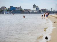 На двох пляжах Києва купатися не рекомендують