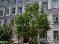 Стадіон чи хмарочос: київській школі загрожує забудовник