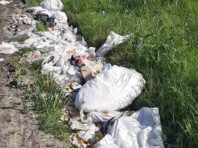 Зі столичного парку вивезли сотні тонн сміття