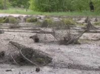 Із Київського моря витягли 3 кілометри сіток із раками