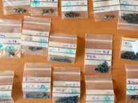 Київські митники знайшли у посилці з Індії чорні діаманти