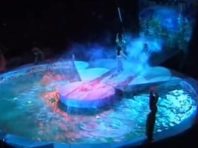 Столичний цирк презентував яскраве шоу на воді