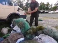 Під Києвом порубали сокирою понад 3 кілометри сіток