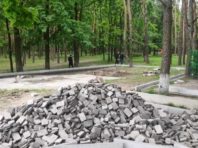Спритні «ділки» знищують газон у столичному парку