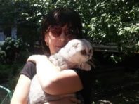 Кияни плакали над котом, якого врятували через два тижні після вибуху в будинку на Позняках  [Фото]