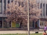 На Оболоні продовжуються безкоштовні кінопокази