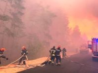 Поліція розглядає три версії масштабної пожежі на Луганщині